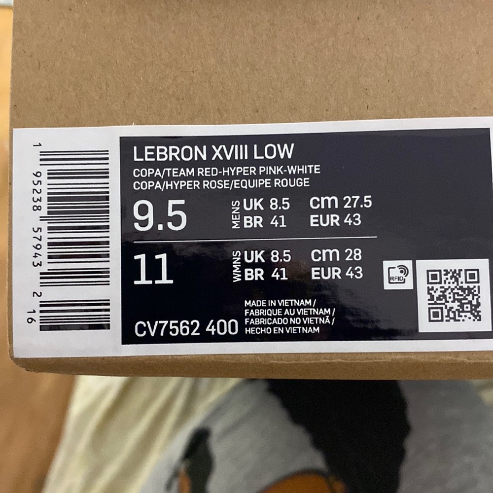 Nike Lebron xvlll “daughters” low tops